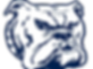 BTW Bulldog - Removed Background.png
